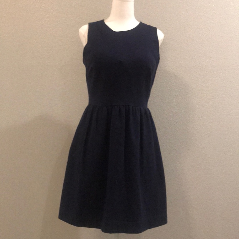 Fit and Flare Sleeveless dress